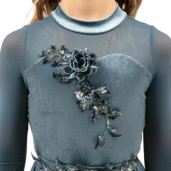 Long Sleeve Velvet Applique Leotard and Mesh Applique Skirt